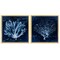 Stupell Industries Dark Blue Coral Pieces 2 pc Framed Floater Canvas Wall Art Set Design by Liz Jardine